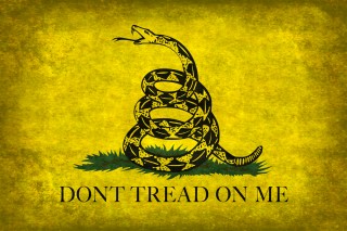 Image of Gadsden flag via Shutterstock