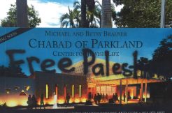 chabad-of-parkland-via-broward-county