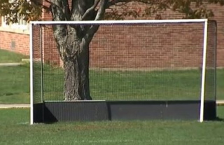 soccer-goal via WFXT screengrab