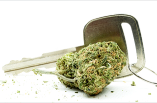 Marijuana driving car key (Shutterstock)