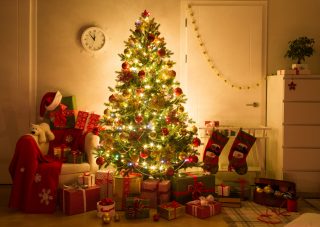 xmas-tree via shutterstock