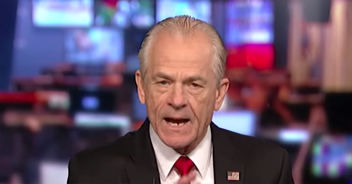 Former Donald Trump advisor Peter Navarro on Fox News