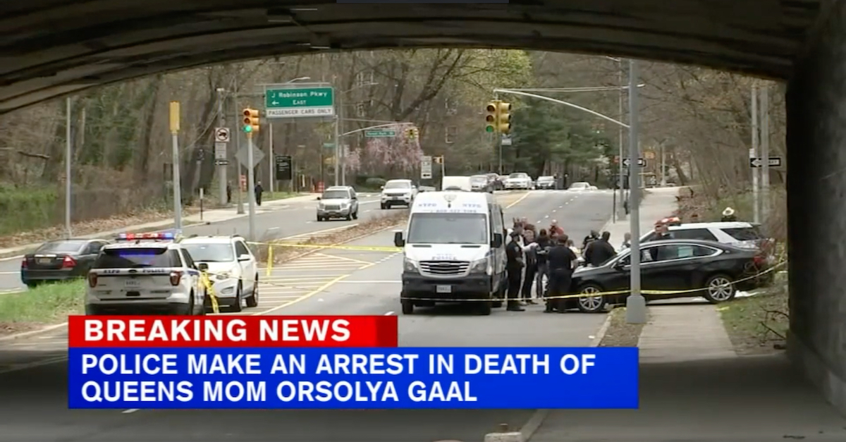 A WABC-TV screengrab shows the location where Gaal's body was found.