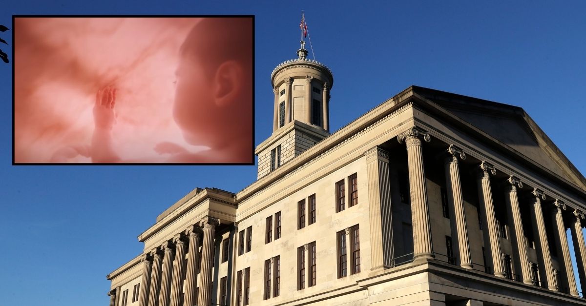 Background: The Tennessee State Capitol stands on Jan. 8, 2020, in Nashville, Tenn. Inset: Fetal development 